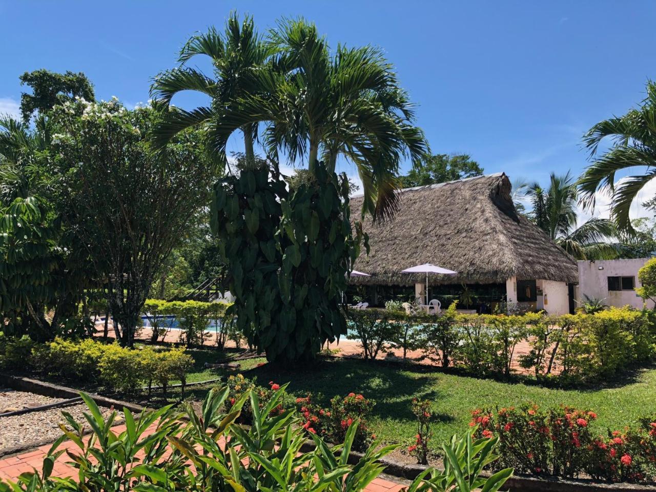 Hotel Campestre Arboretto Вільявісенсіо Екстер'єр фото